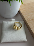 Open Curve Ring