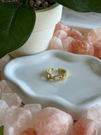 Vienna Link Ring
